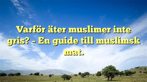 Varför framhåller muslimsk tradition att mohammad inte kunde skriva5